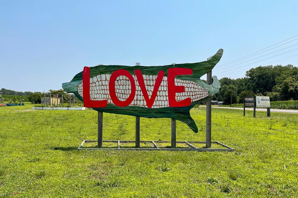 The Northern Neck Farm Museum, a five county regional museum fashioned to tell the story of agriculture in the Northern Neck, shows its "LOVE" with a giant ear of corn designed by a local student, Jamel Brown and sculpted from iron.