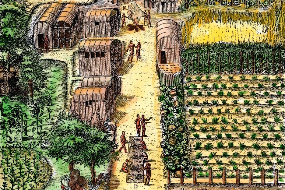 Vintage illustration of tomato canning factory fields